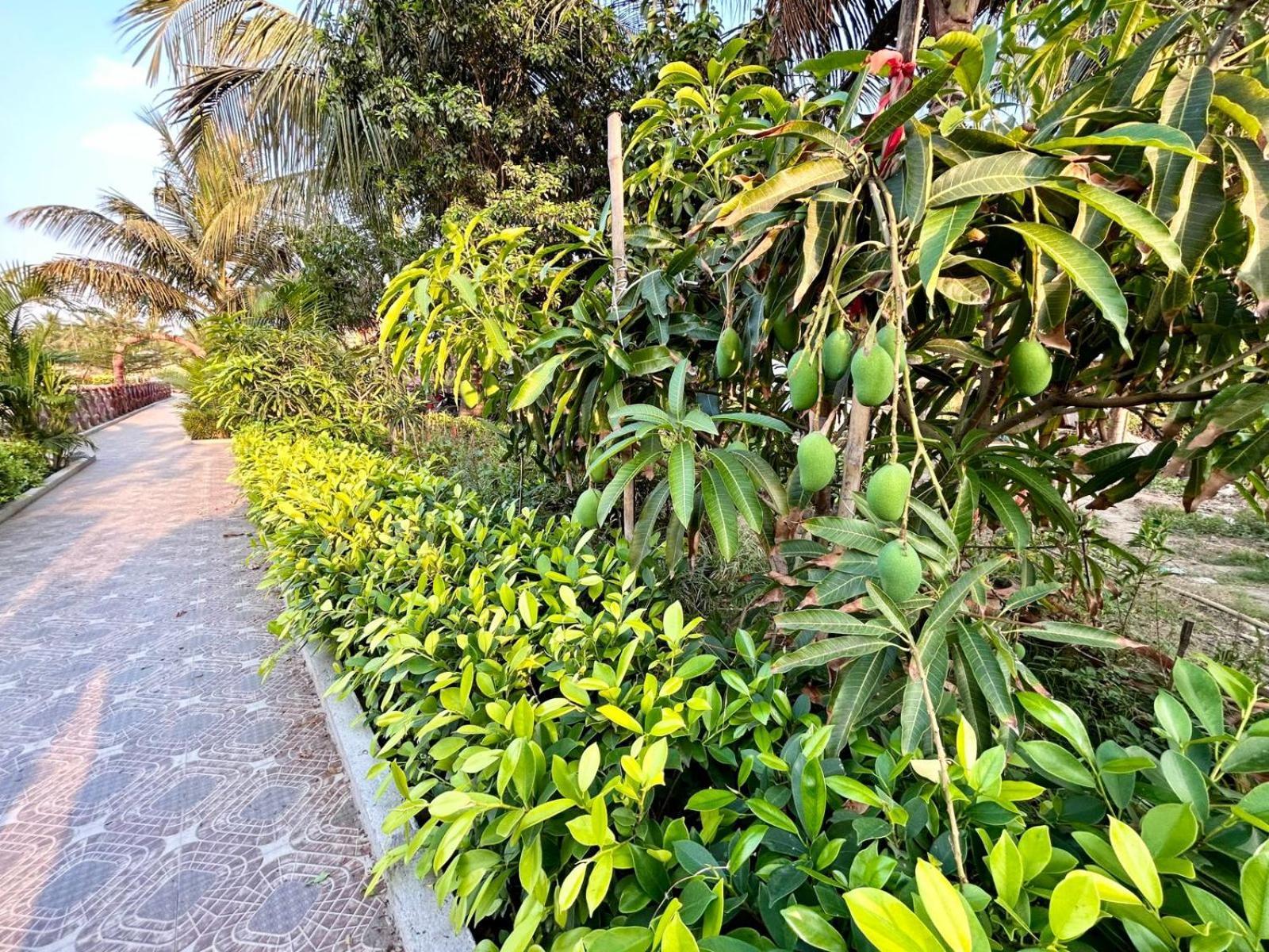Palli Bangla Resort, Near Ruby Hospital, Anandapur Calcuta Exterior foto